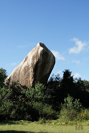 Pride Rock?