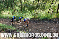 Mudgeeraba Forest