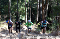 Mudgeeraba Forest