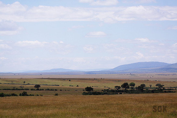 "Spotted Land"
