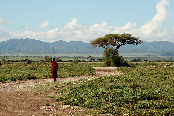 Long Walk