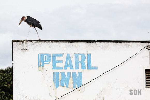 Pearl Inn