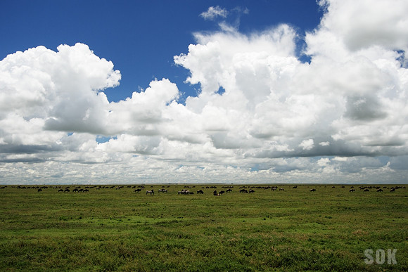 "Endless Plain"